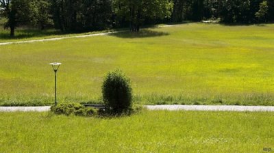 ​简单早安心语正能量一句话（早安心语正能量简单一句话阳光语录 乐观心态