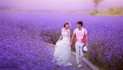 ​抖音最火的甜文案