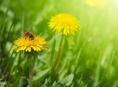 ​叶良辰经典语录