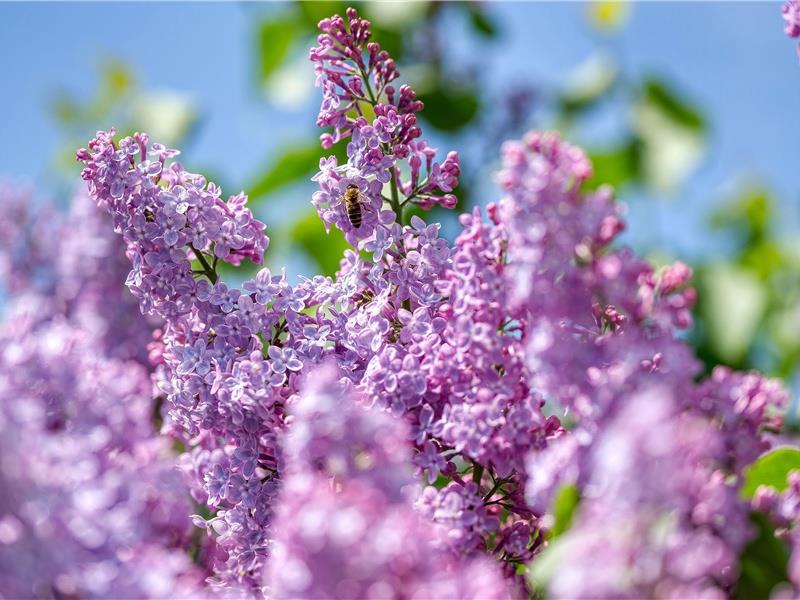 发朋友圈好听又吸引人的经典句子(30句)