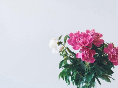 ​发朋友圈好听又吸引人的经典句子(30句)