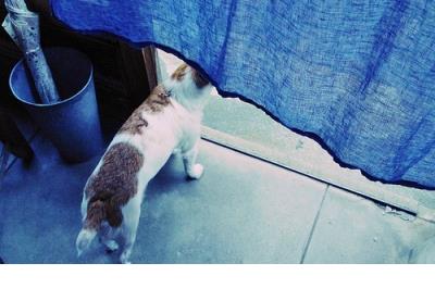 适合睡觉前发的朋友圈