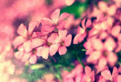 ​带时字的网名大全