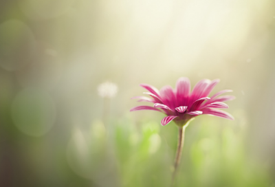 带时笙的网名大全