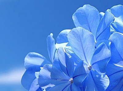 ​一个人熬过了所有的说说