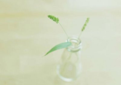 ​简短个签6个字