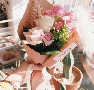 ​很有意境的古风唯美句子，句句触碰心灵，美到窒息！