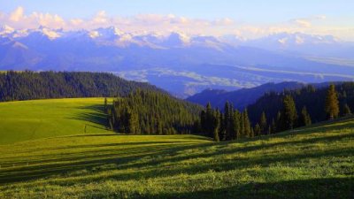 ​助人为乐的谚语