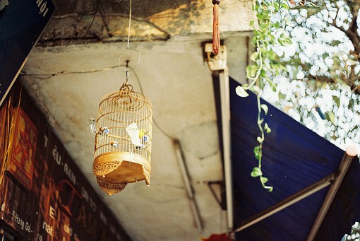 春分早安励志说说 春分早安朋友圈问候语(精选73句)