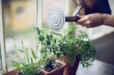 ​毕业励志唯美的句子合集89句