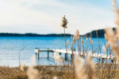 ​向着太阳迎着光的短句迎风奔跑的励志句子(69句)