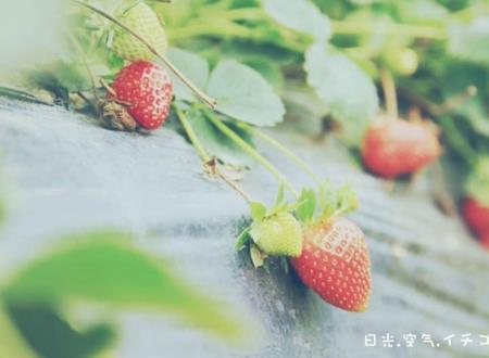 容易涨粉的快手个性名字