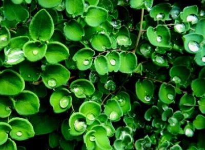 ​最有内涵的一个字网名