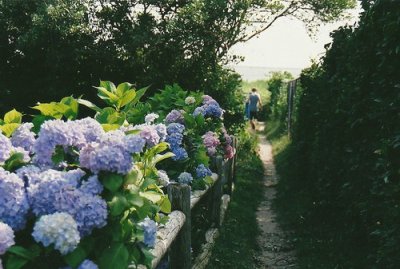 ​鼓励的英文句子