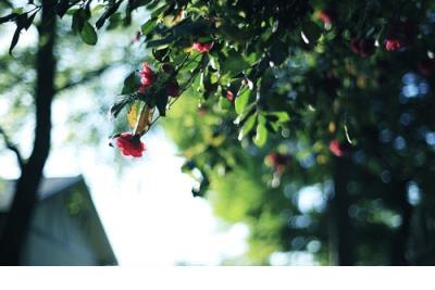 早安短句正能量一句话