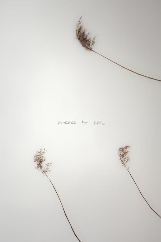 说说励志短语人生感悟带图片