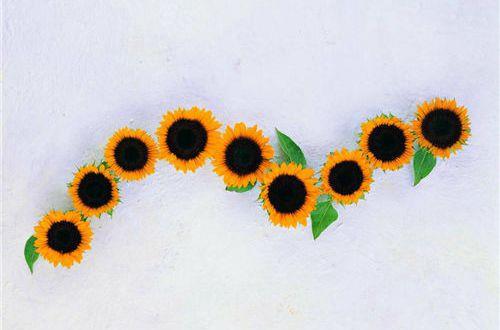 活出自己霸气 富有正能量的句子