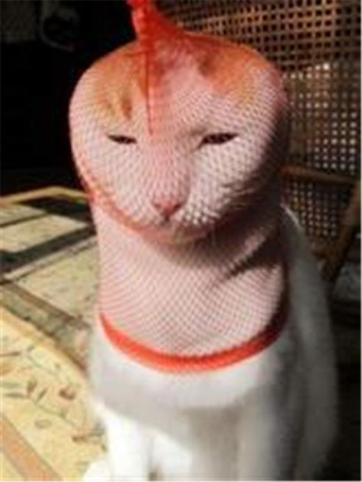 激励做微商的句子大全