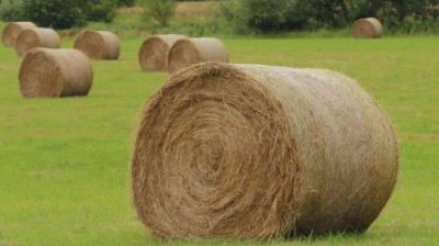 ​早安心语正能量 早安心语 简单一句话