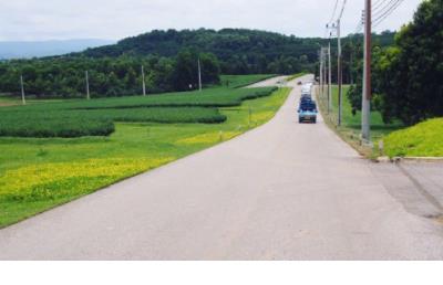 在春天鼓励人生的话