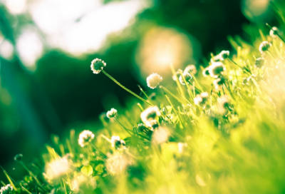 ​情人节搞笑的句子配图50条