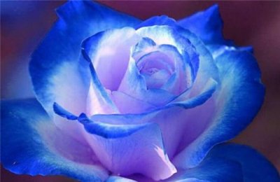 ​生活很苦的励志说说