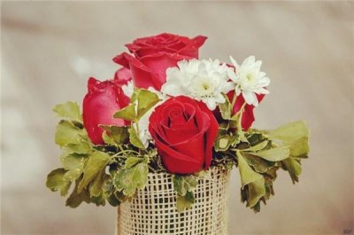 ​充满正能量的阳光励志句子（句句现实让人百读不厌）