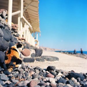 ​每天心情好的短语说说 积极向上的说说霸气