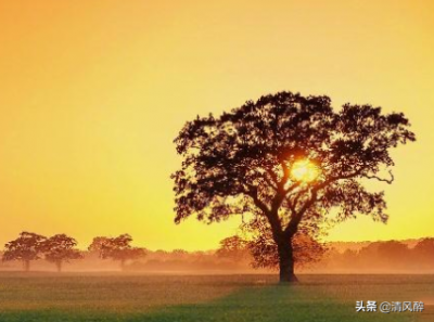 ​每天早上起床的经典句子（20句激励自己早起的句子）