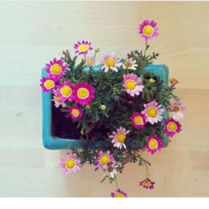 ​宝妈励志语录简短(创业励志说说简短的)