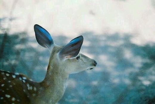 100句最励志的名人名言