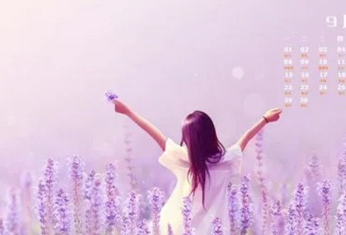 1706519541126754.png image.png