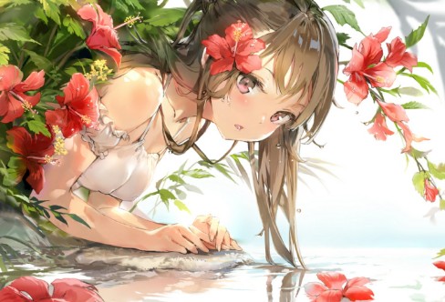 1706712481479331.png image.png