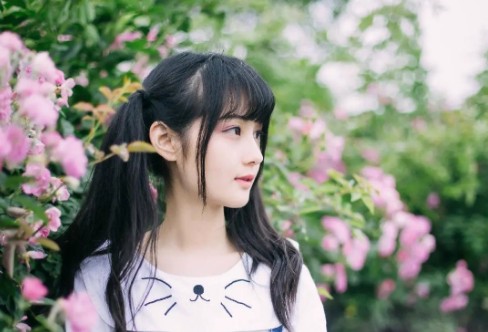 1706447832380831.png image.png