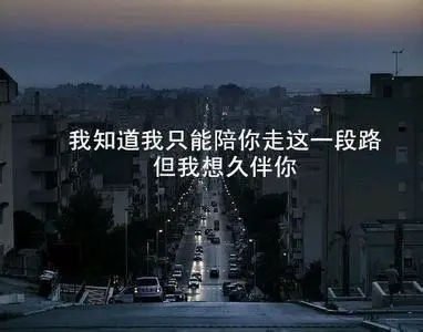 单身伤感的句子