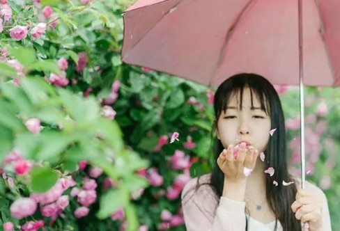 1706457825339434.png image.png