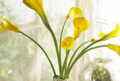 ​人生路经典短句，感慨一生的伤感说说