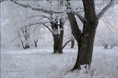 ​适合发朋友圈的语录 早安正能量励志经典语录短句