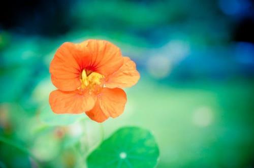 励志名言短句霸气十字