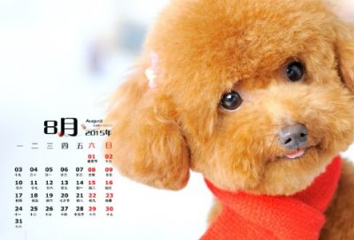 ​很短的爱情句子