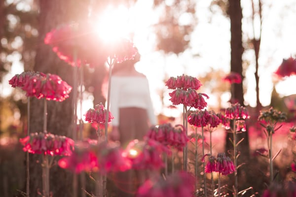 伤感的句子说说心情