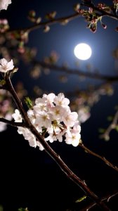 ​很霸气的句子女生短句（女生霸气短句签名）