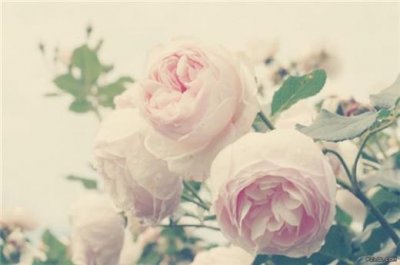 ​面对挑战的励志句子（鼓舞自己）