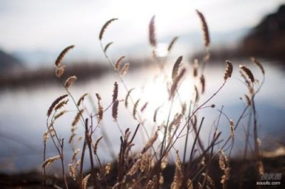 ​名言警句摘抄大全小学（心灵鸡汤经典语录励志）