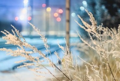 ​3个字古风网名独一无二（霸气3个字古风网名）