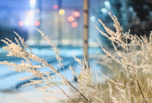 1710331559153537.png image.png