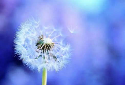 1710331393240805.png image.png