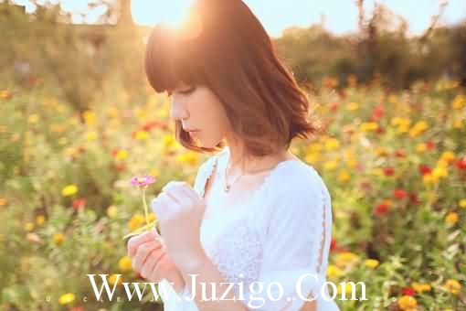 2025年最新元宵节祝福短信句子精选(精选50句)