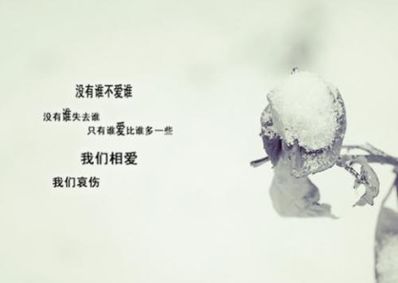 有一种悲伤经典语录 最经典的伤感、离别语录