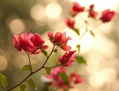 ​发朋友圈励志正能量句子